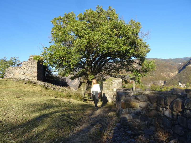 Castelli, Torri e Palazzi........dell''Alto Adige (BZ)